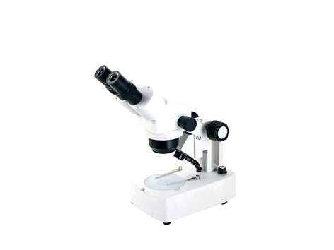 Microscópio Binocular Zoom 10 a 40x