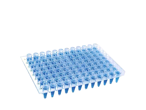 Microplaca de PCR Sem Borda Com Poços Elevados