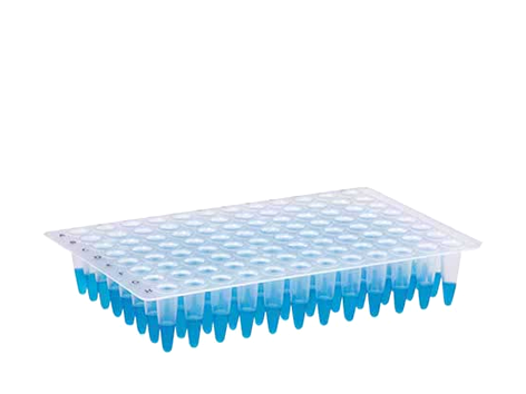 Microplaca de PCR Sem Borda 96 Poços