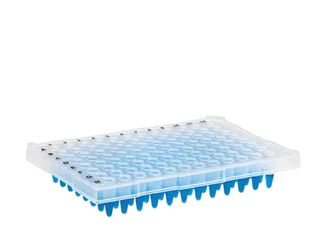 Microplaca de PCR Meia Borda 96 Poços