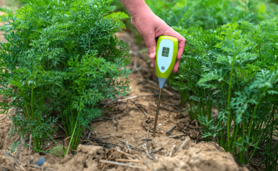 Análise de solo com dispositivo digital.