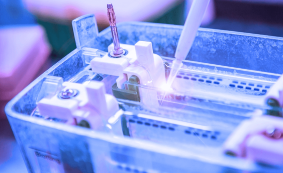 Processo de eletroforese acontecendo