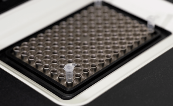 Tiras com DNA no PCR Termociclador