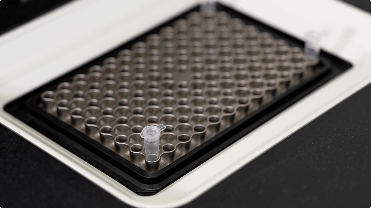 Tiras com DNA no PCR Termociclador