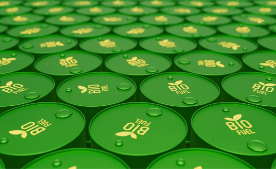 Galões de biodiesel visto de cima