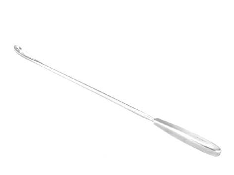 Cureta Wallich 42cm