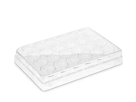 Placa para Cultivo Celular Fundo Chato