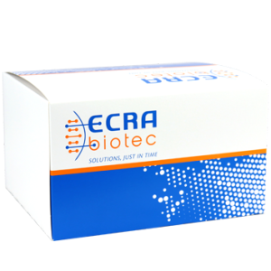 ECRA SARS-CoV-2 Gene N
