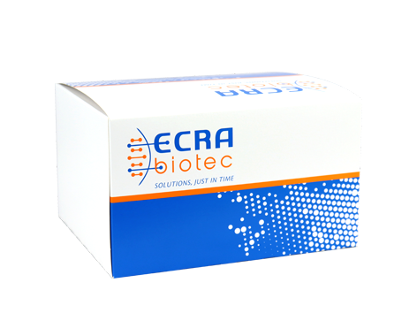 ECRA HIFI