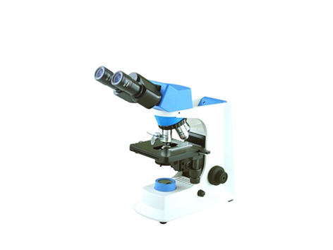 Microscópio Binocular Planacromático Halogênio 1000x