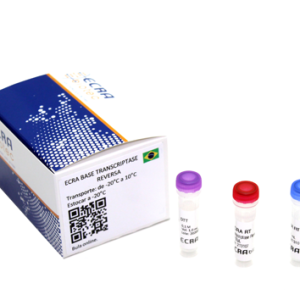 ECRA Base Transcriptase Reversa