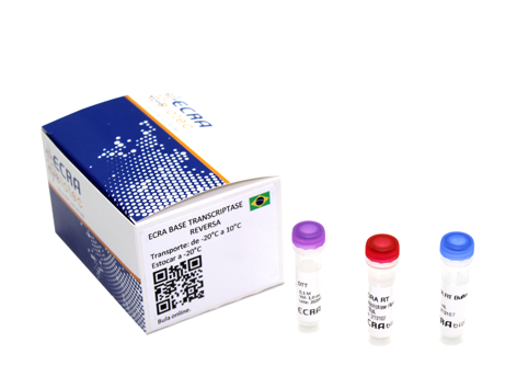 ECRA Base Transcriptase Reversa